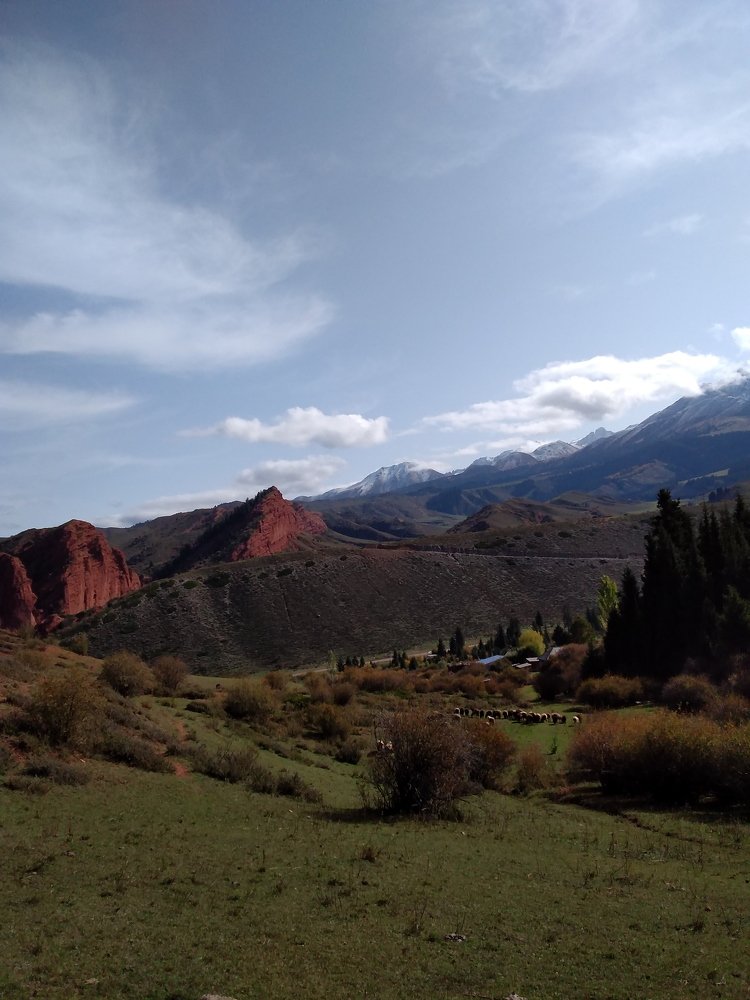 Photo #4854729