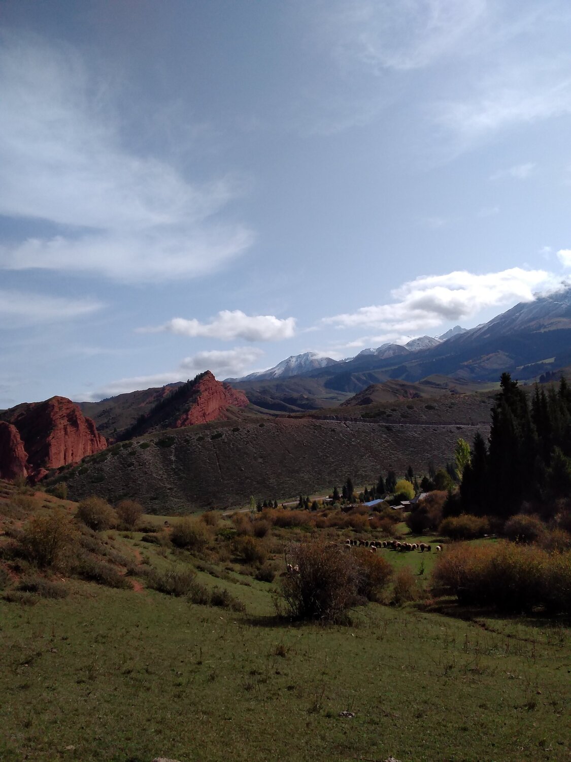Photo #4854729