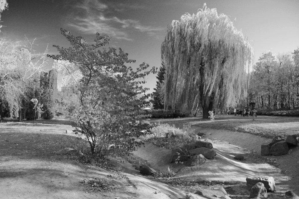 Photograph by Инга Крыжановская