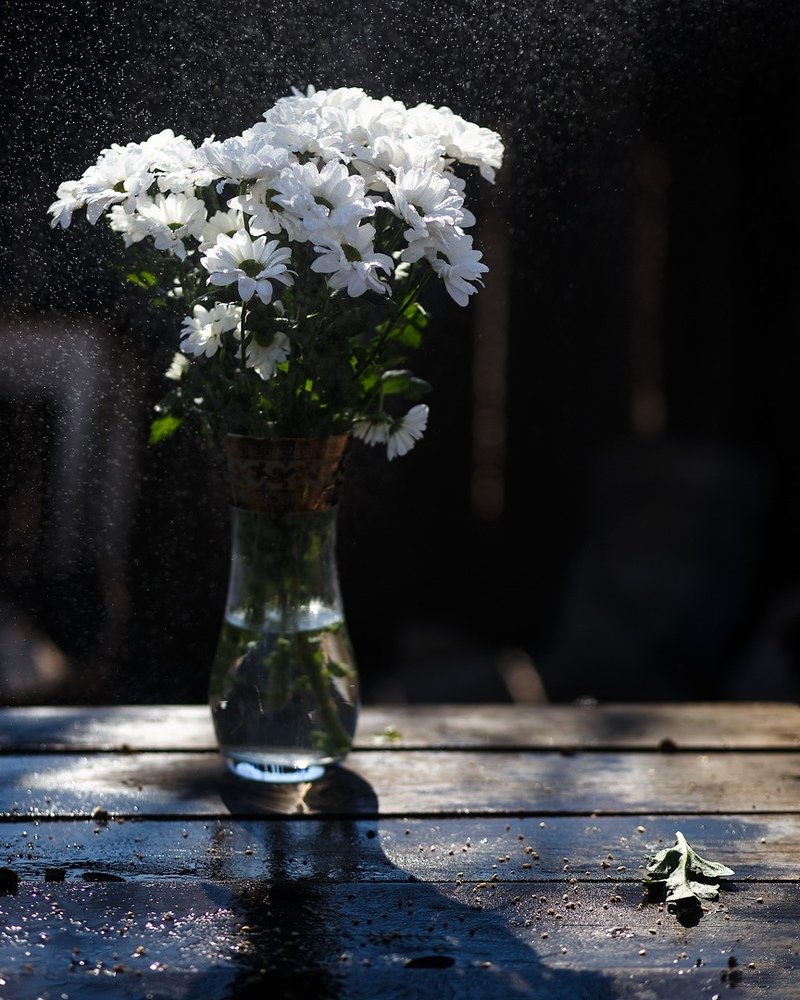 Photograph by Дарья Терещенко