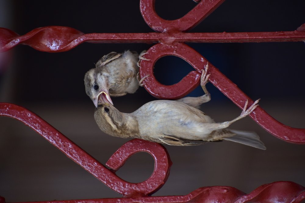 Photograph by Devang Soni