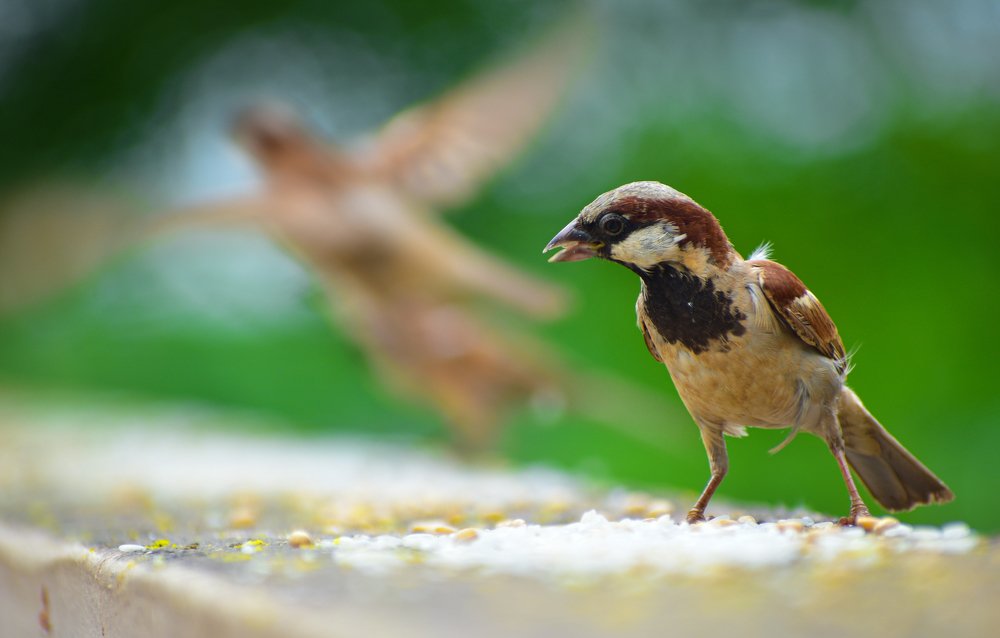 Photograph by Devang Soni