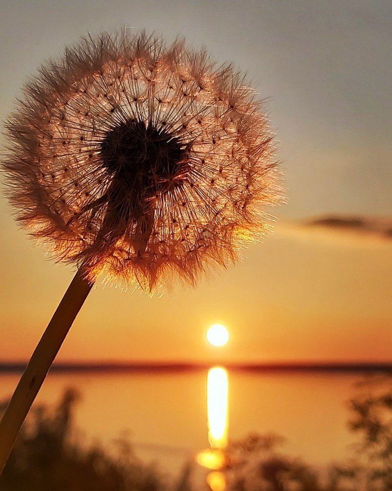 Photograph by Светлана