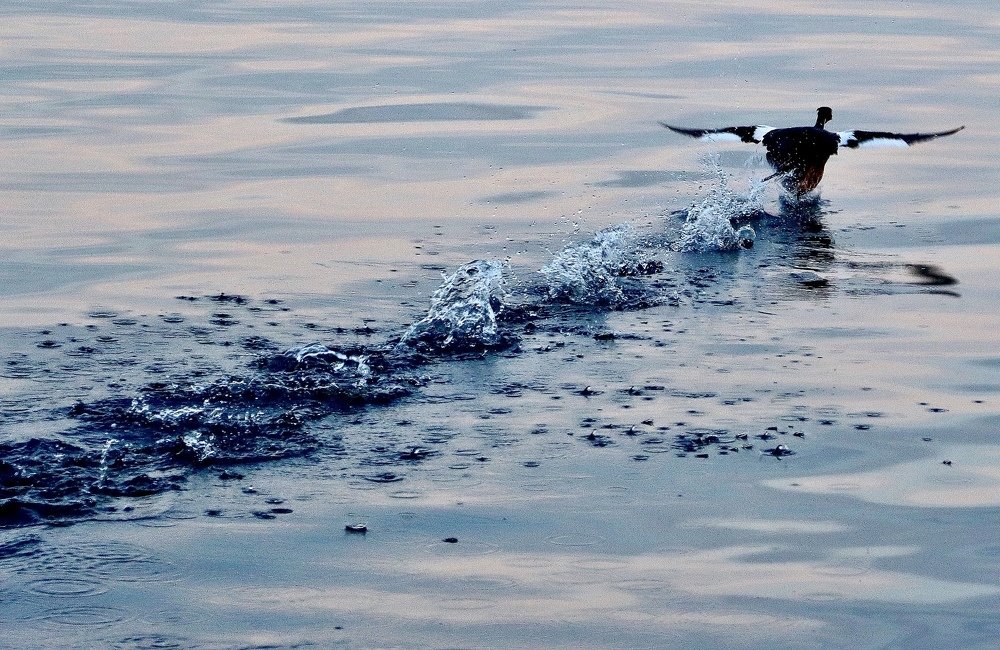 Photograph by Малика Маткарим