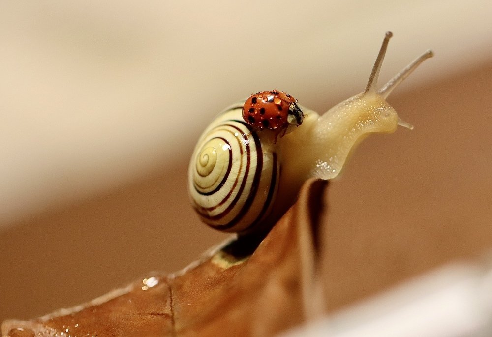 Photograph by Малика Маткарим