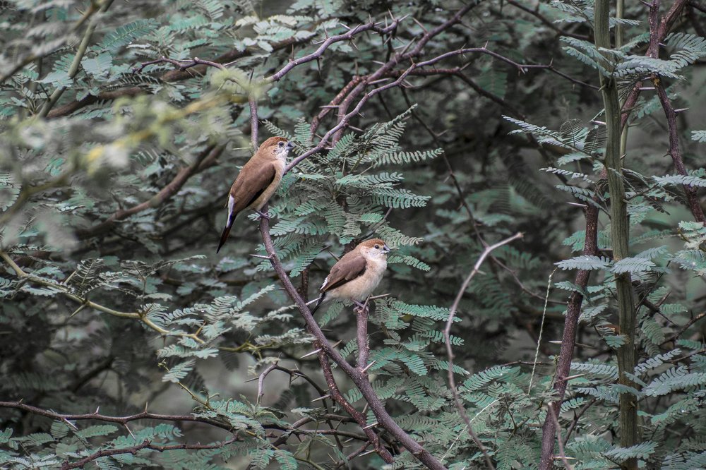 Photograph by mayur shrimali