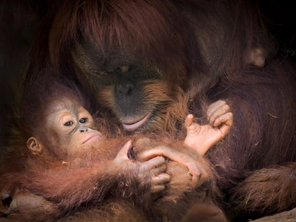 Photograph by Eka Novianto Nugroho