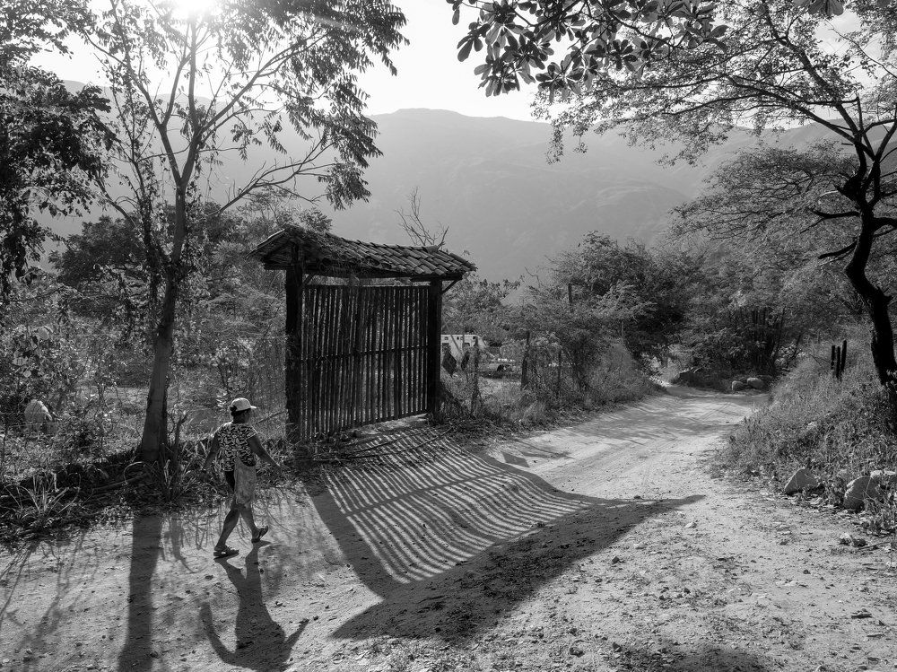 Photograph by Juan Camilo Medina