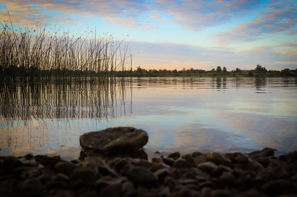 Photograph by Jelena Dzene