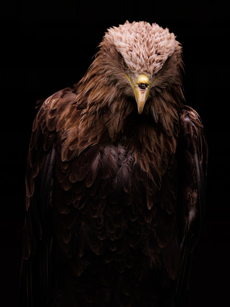 Photograph by Даниил Рождественский