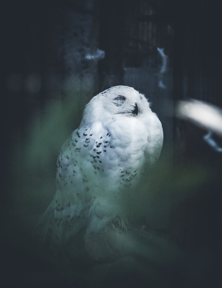 Photograph by Mefesto Decrus