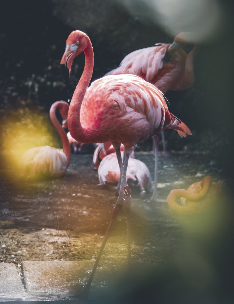 Photograph by Mefesto Decrus