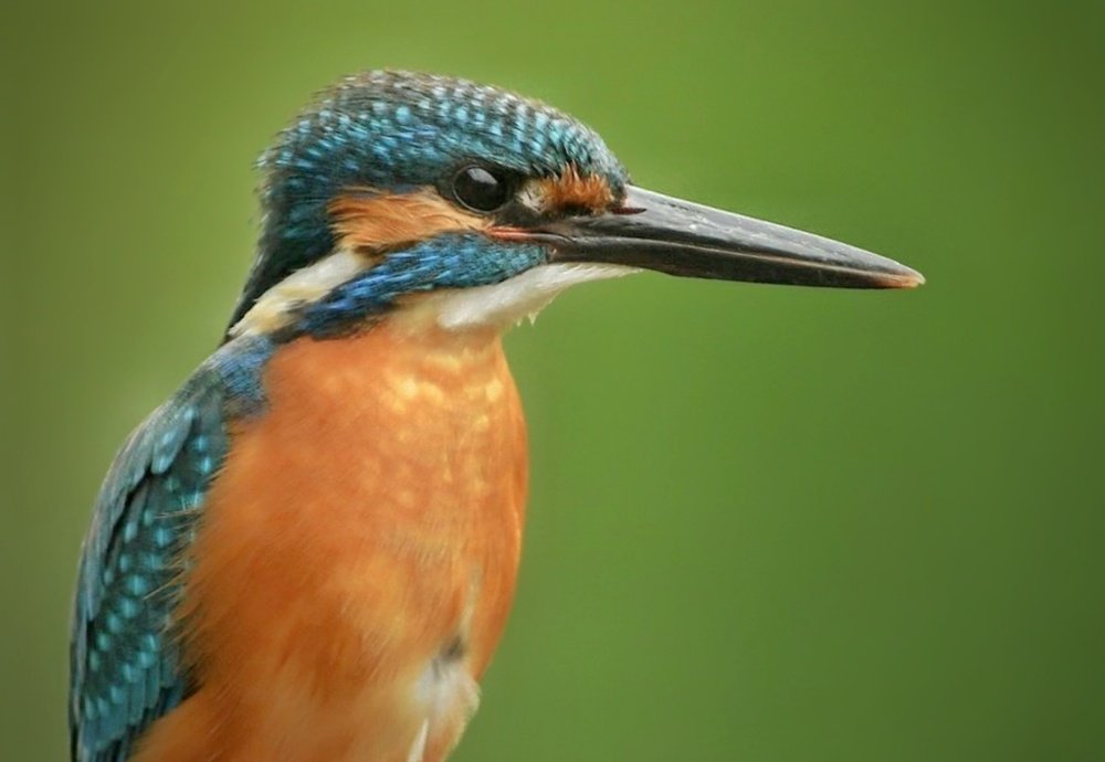 Photograph by Atul mehta