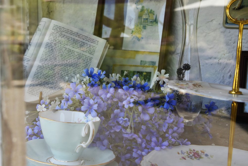 Photograph by mypure heart