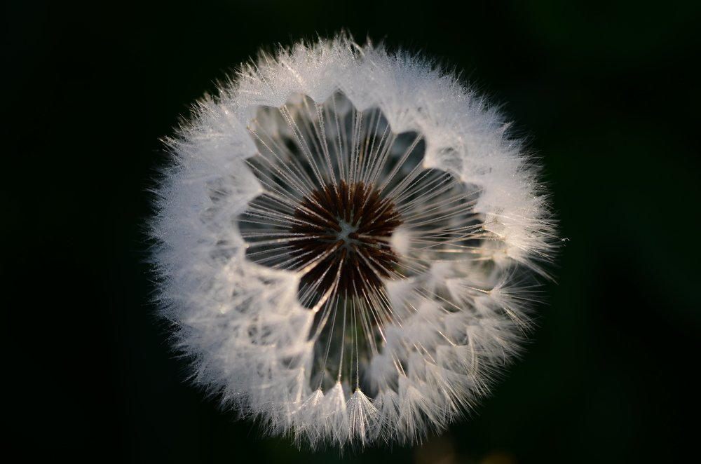 Photograph by Юлия Ястребова