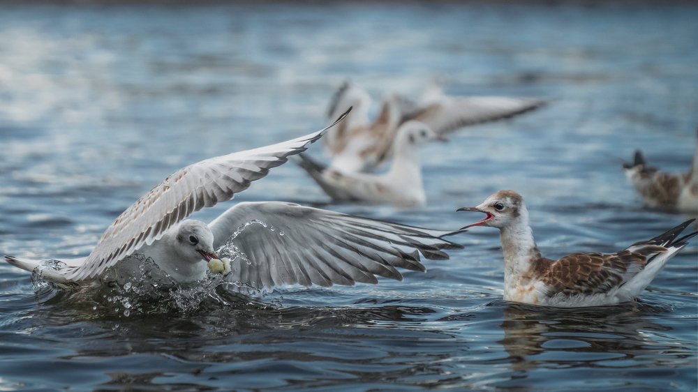 Photograph by Artem Khazov