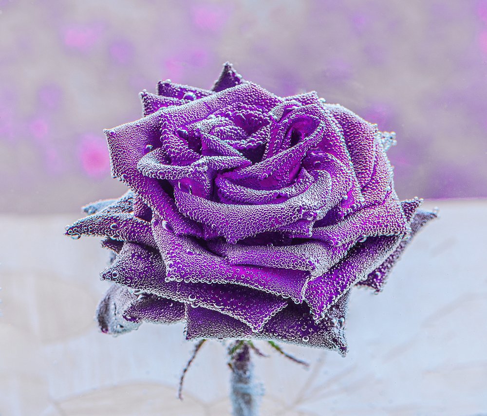 Photograph by Vitaly