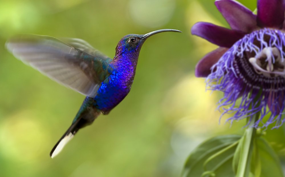 Photograph by HITTHEROAD