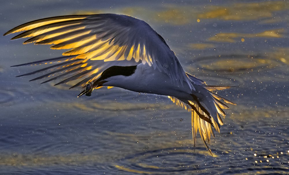 Photograph by HITTHEROAD