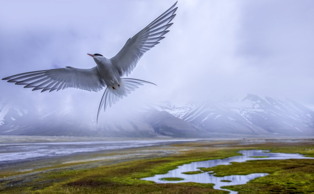 Photograph by HITTHEROAD