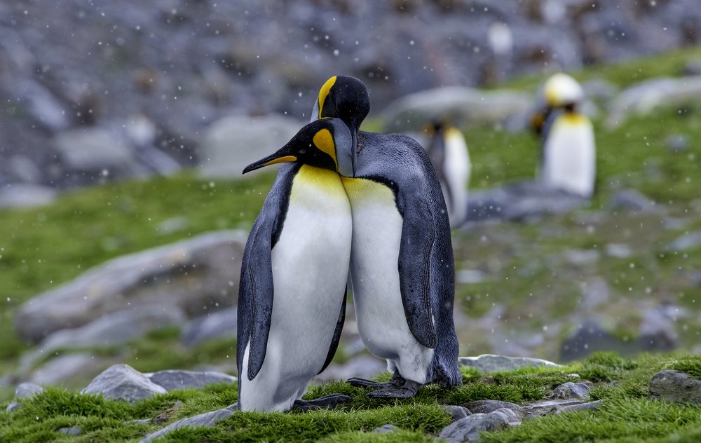 Photograph by HITTHEROAD