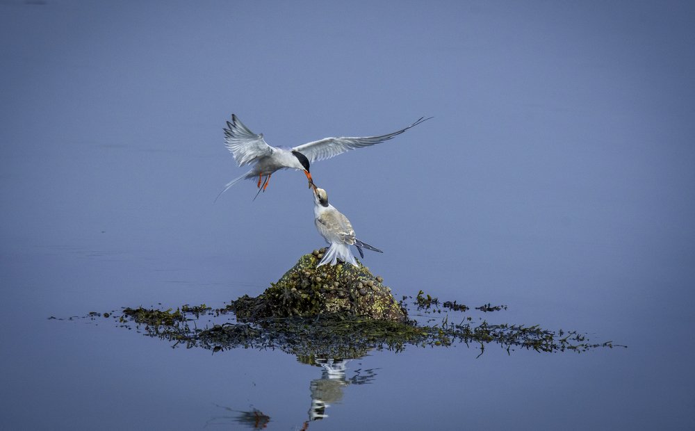 Photograph by HITTHEROAD