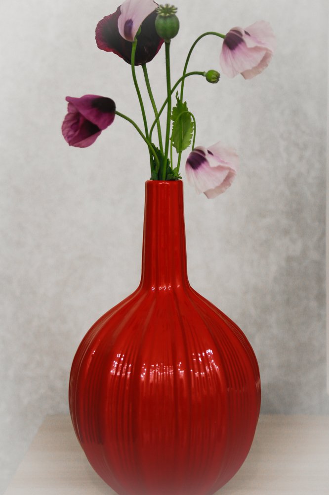 Photograph by Елена Буканина