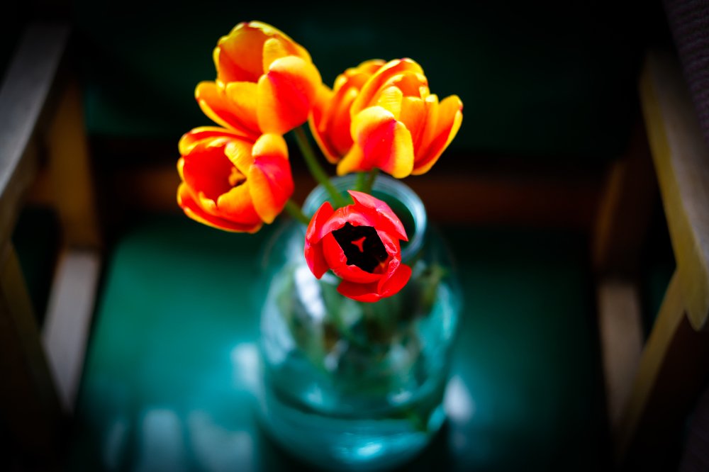 Photograph by Елена Буканина