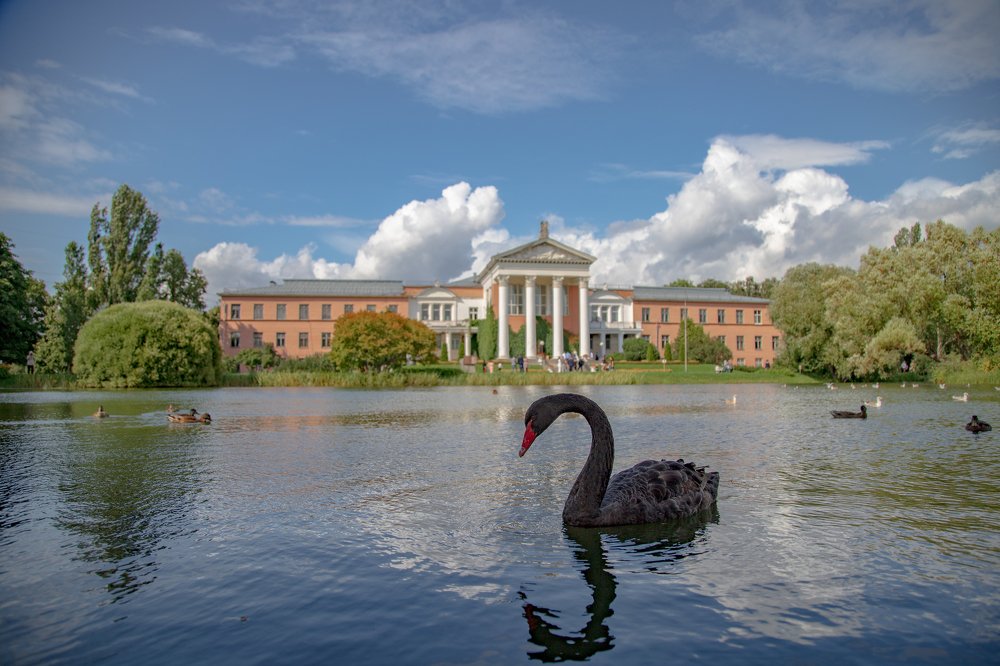 Фотография автора Роман