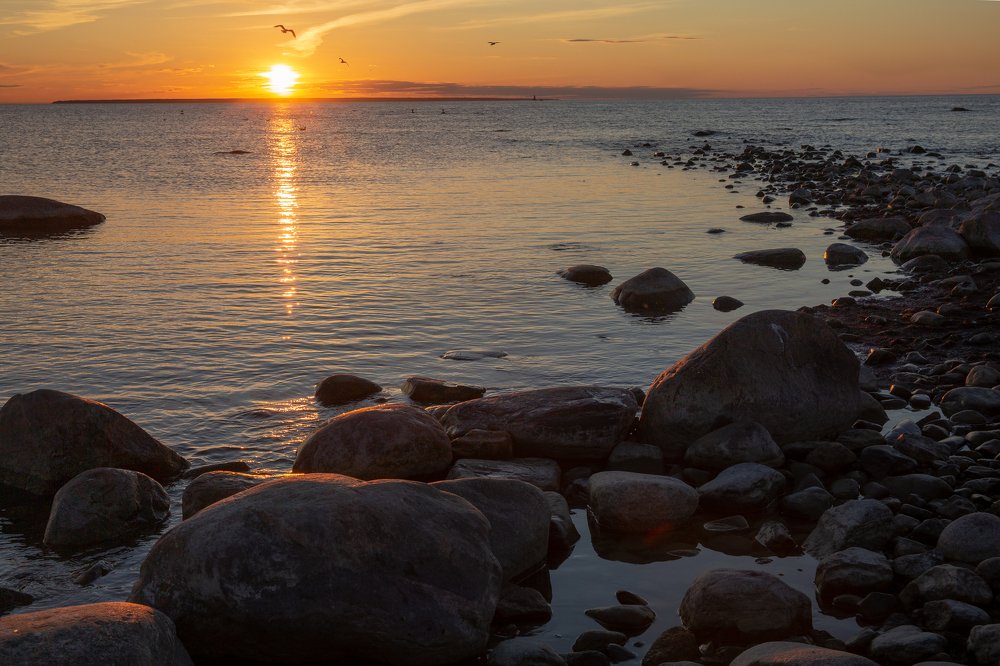 Photograph by Наталья Катюжанская