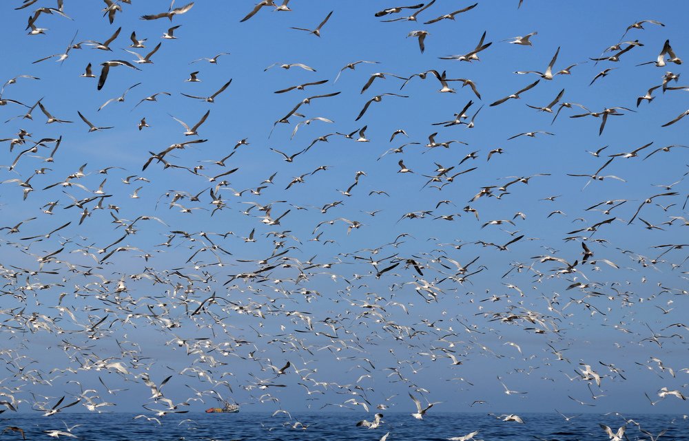 Photograph by Диана Жагрина