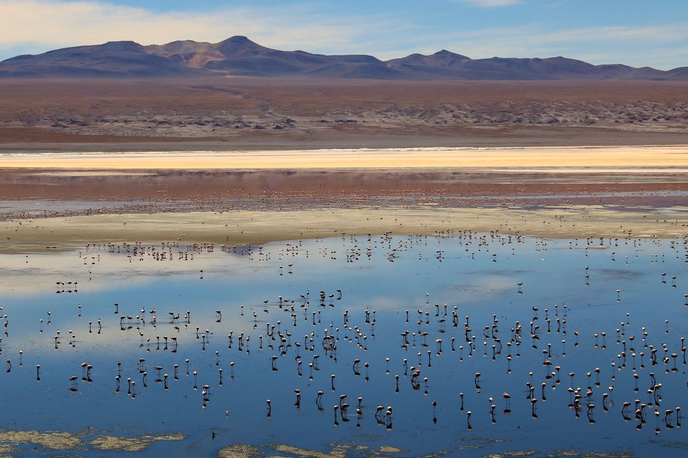 Photograph by Диана Жагрина