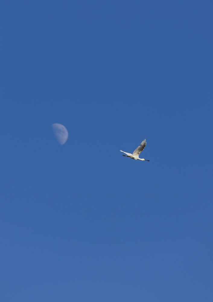 Photograph by Яна Толмачёва