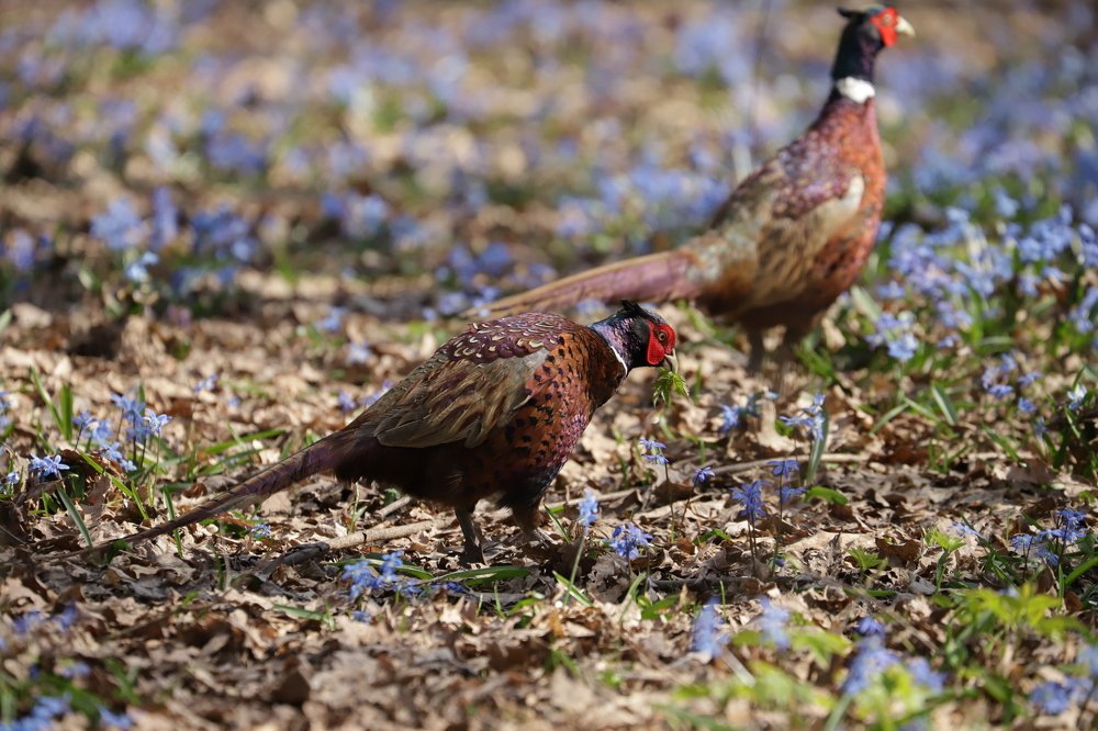 Photograph by Яна Толмачёва