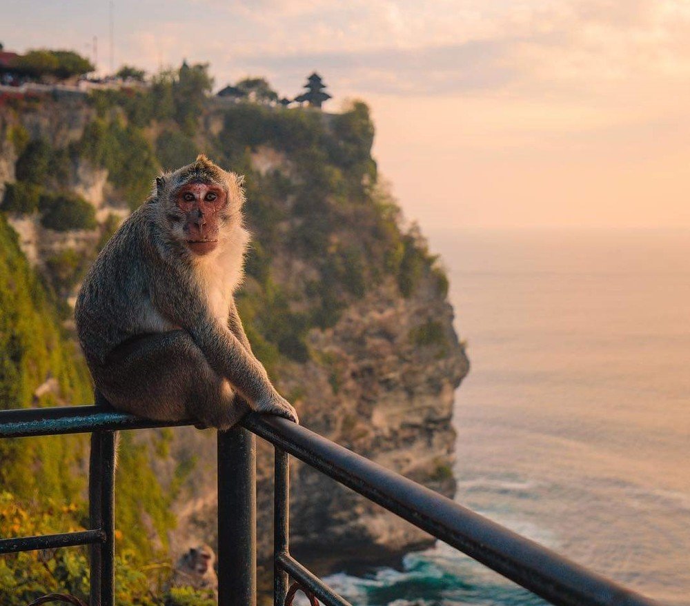 Photograph by Deddy Sumual