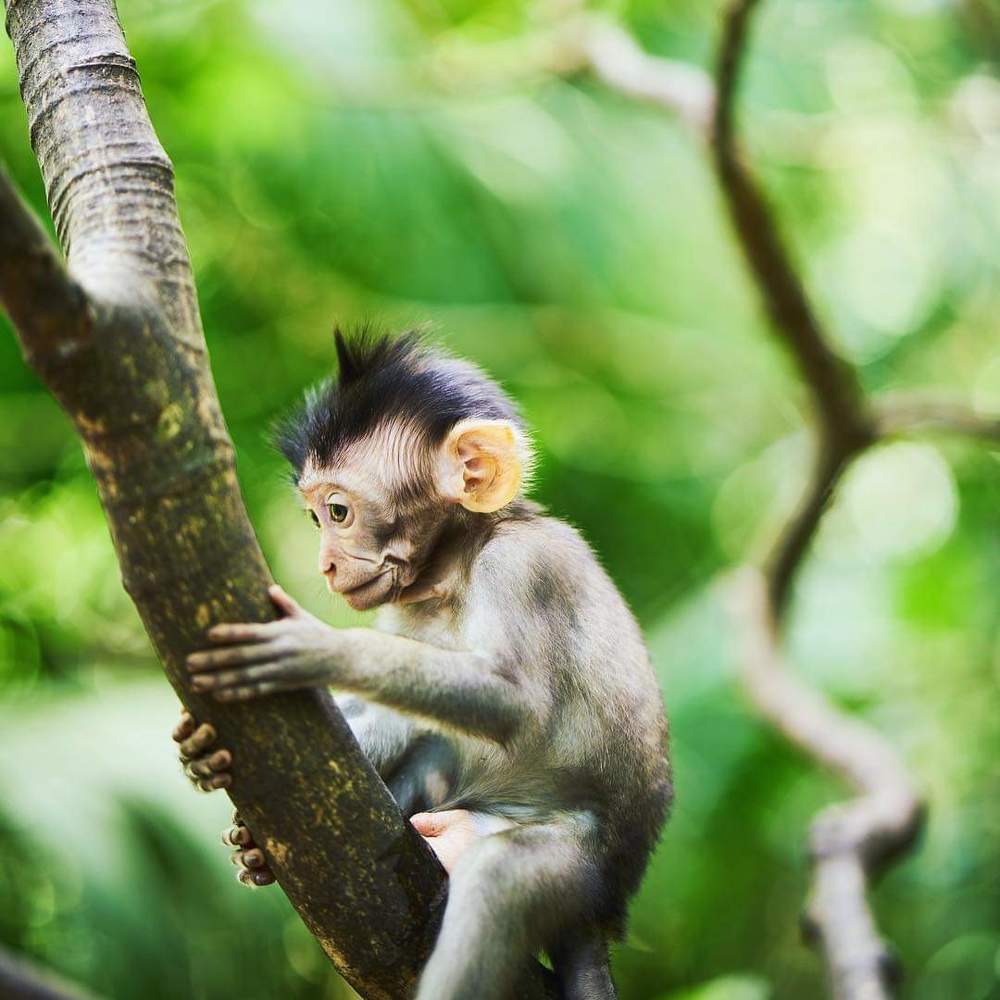 Photograph by Deddy Sumual