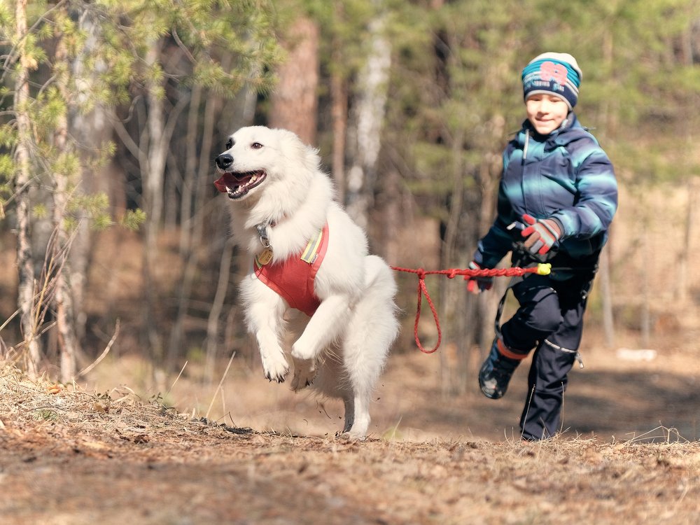 Photograph by Екатерина