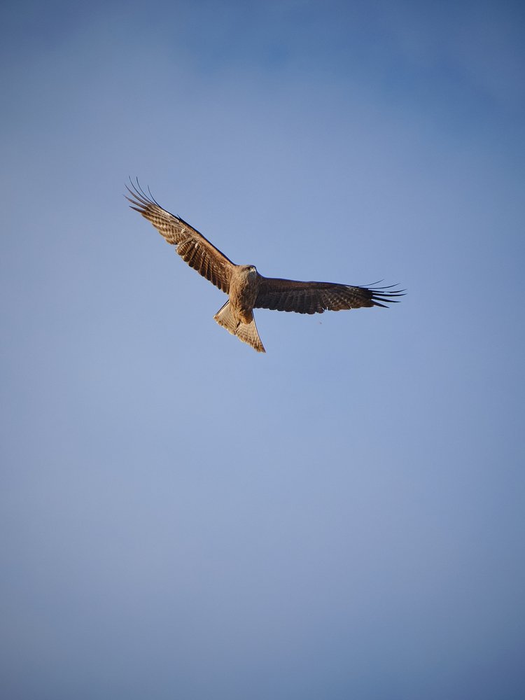 Photograph by Екатерина