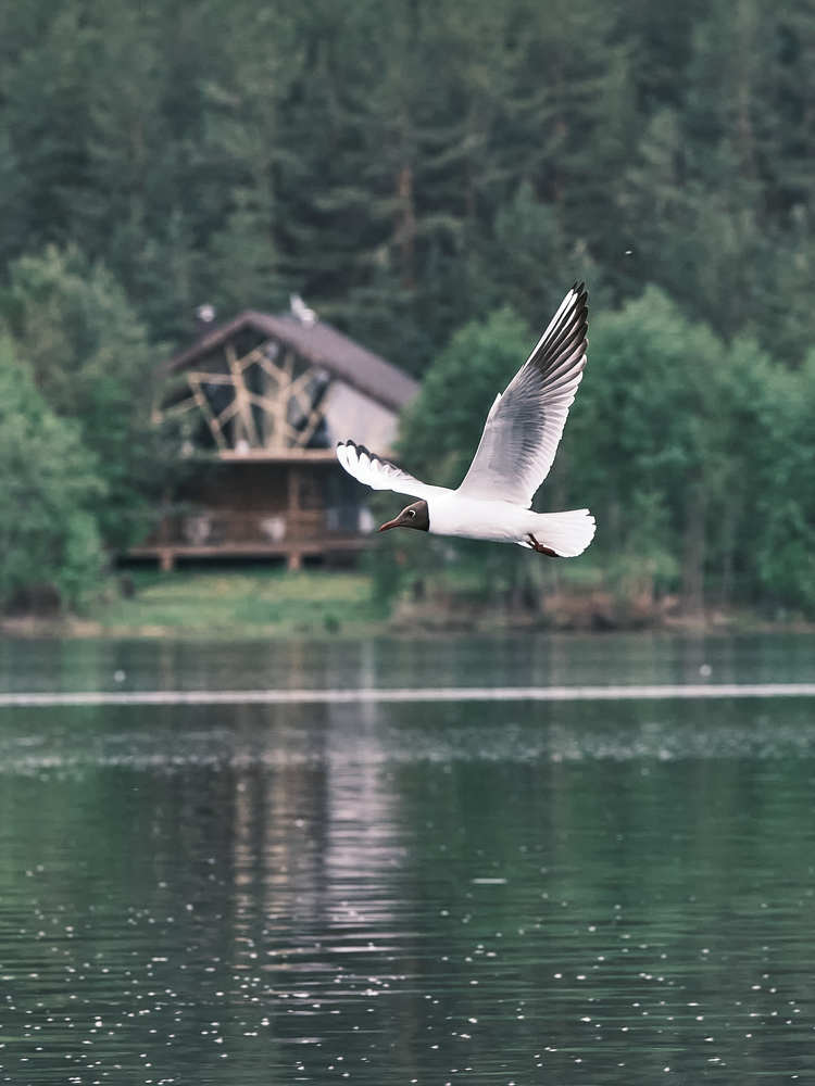 Photograph by Екатерина