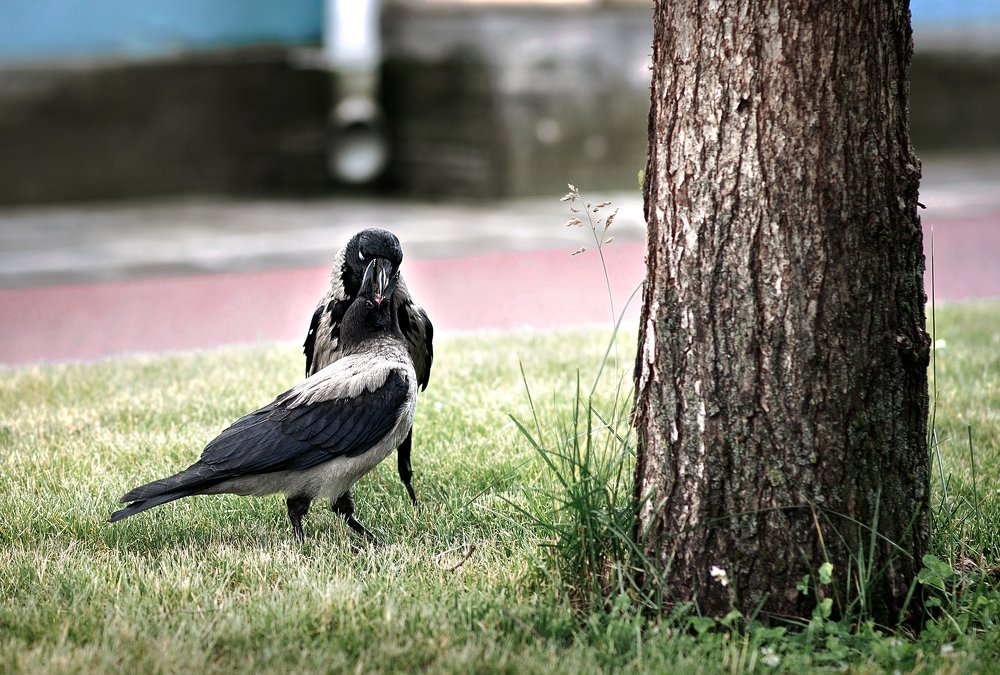 Photograph by Юлия Яровая