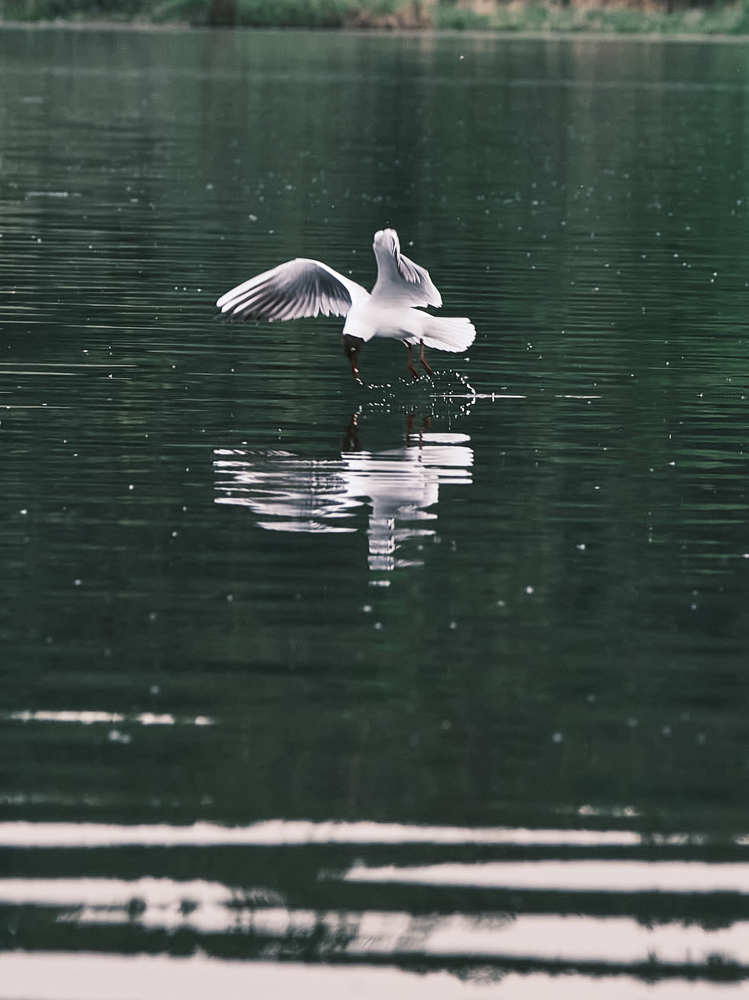 Photograph by Екатерина