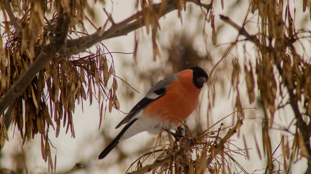 Photograph by Евгений Калагаев