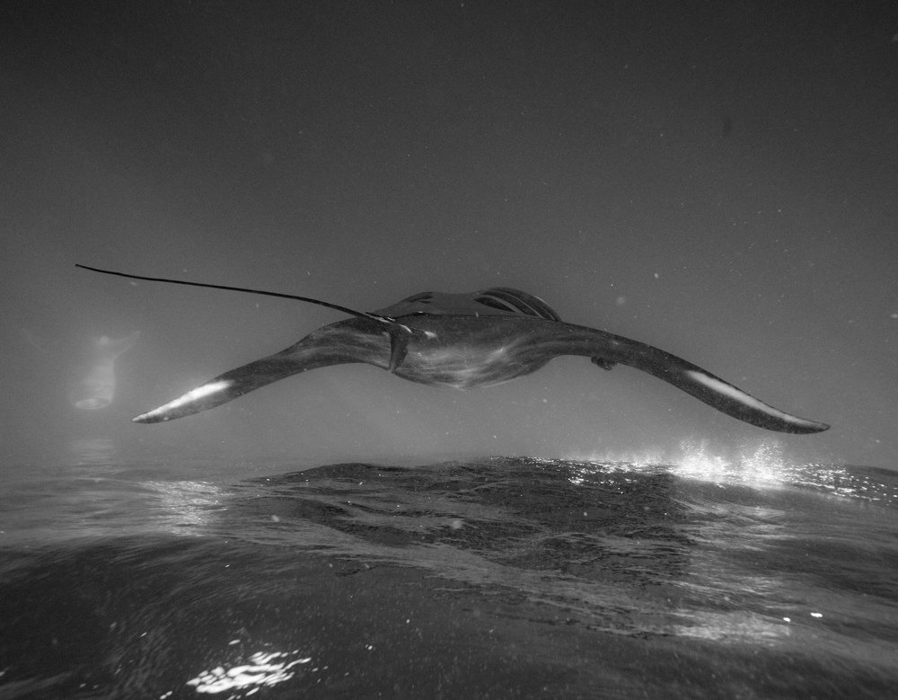 Photograph by Mizael Palomeque