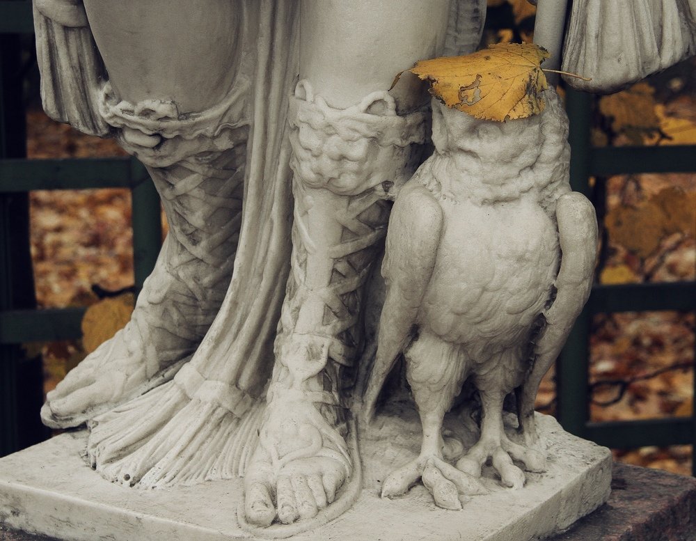 Photograph by Алена Яцун