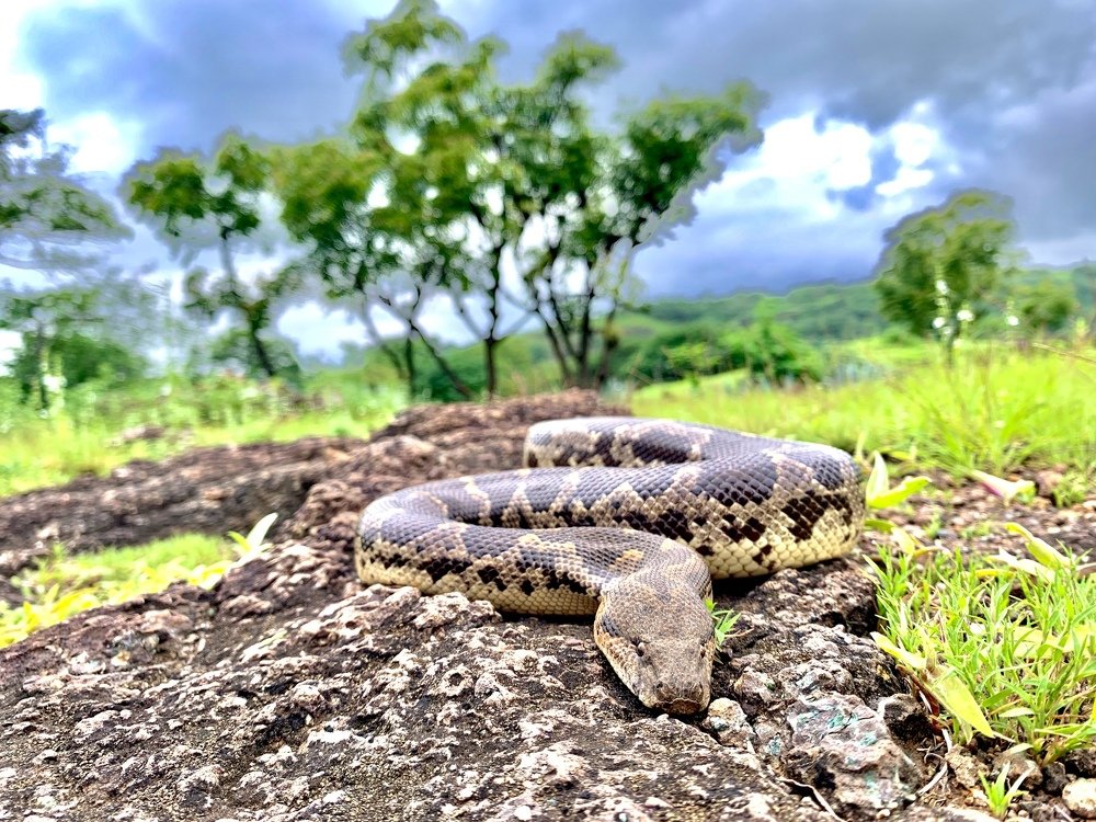 Photograph by Nitin Baste