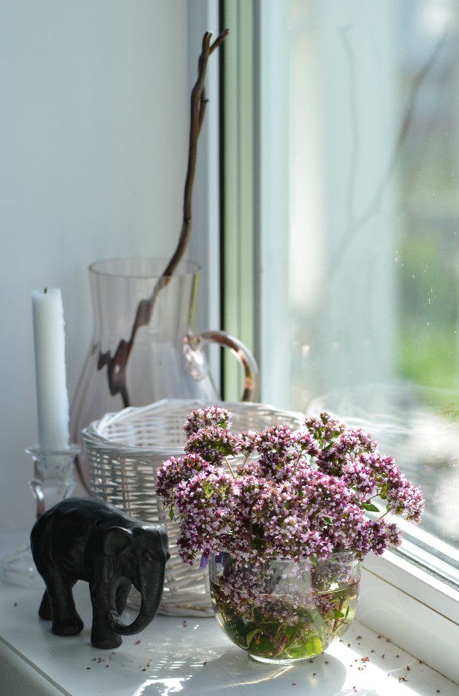 Хорошее начало дня.