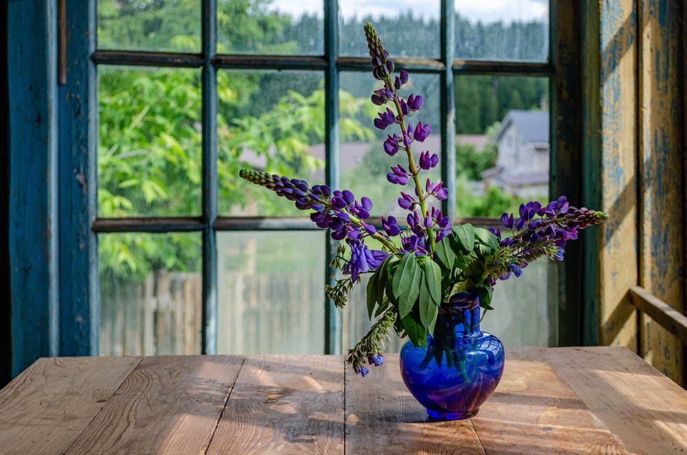 Photograph by Денис Кичев