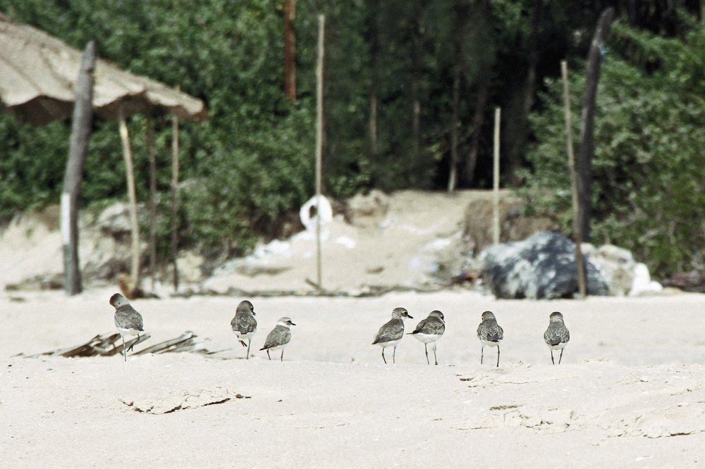 Photograph by Снежанна