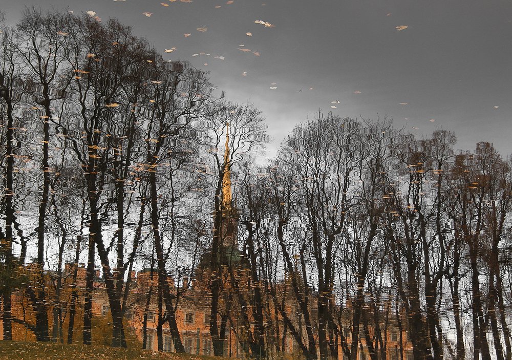 Photograph by Алена Яцун