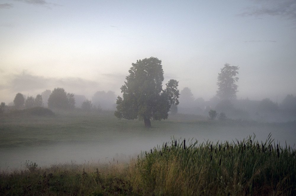 Photograph by Андрей Малыгин